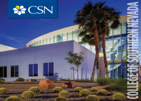CSN Building with Palm Trees