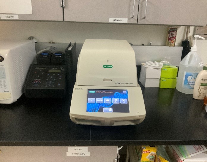 Bio-Rad CFX96 Touch Real-Time PCR