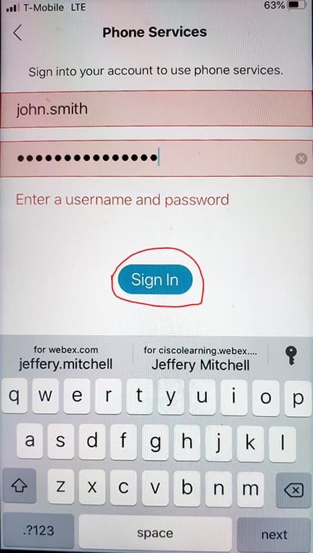 Screen shot showing Phone Settings sign in fields and Sign In button