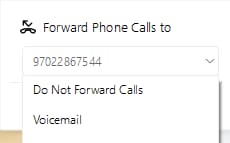 Screen shot of dropdown shown open to select the phone in which to forward calls