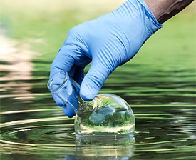 Flask being dipped in pond of water