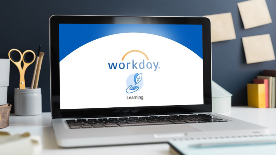 workday learning computer